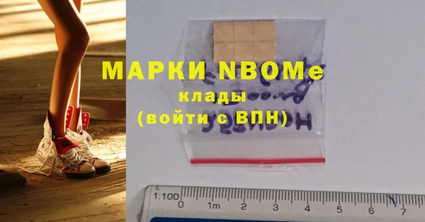бошки Белокуриха