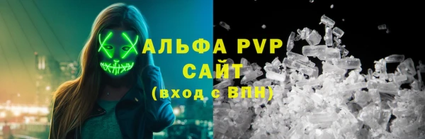 бошки Белокуриха