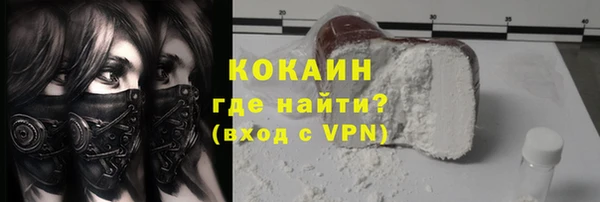 бошки Белокуриха