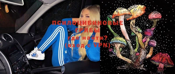 стаф Семёнов